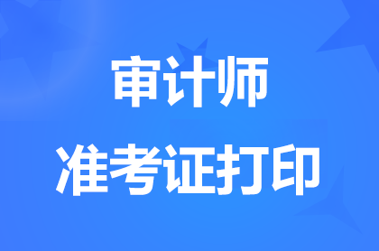 宁夏2024中级审计师准考证打印入口开通